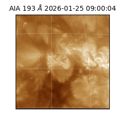 saia - 2026-01-25T09:00:04.843000