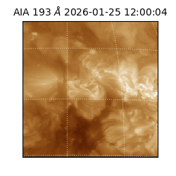 saia - 2026-01-25T12:00:04.838000