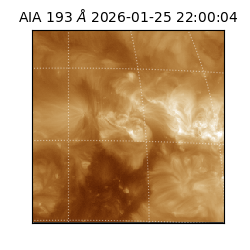 saia - 2026-01-25T22:00:04.835000