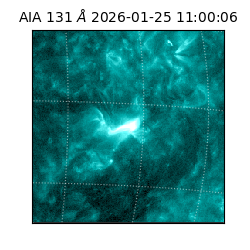 saia - 2026-01-25T11:00:06.622000