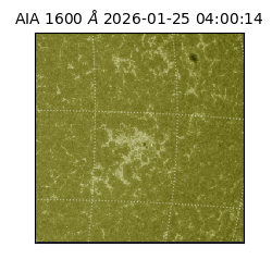 saia - 2026-01-25T04:00:14.125000