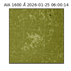 saia - 2026-01-25T06:00:14.132000