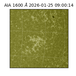 saia - 2026-01-25T09:00:14.126000