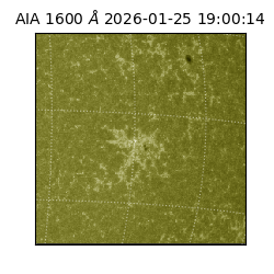 saia - 2026-01-25T19:00:14.126000