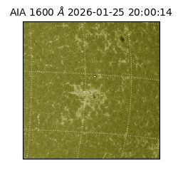 saia - 2026-01-25T20:00:14.126000