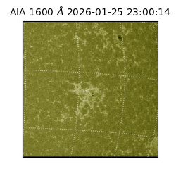 saia - 2026-01-25T23:00:14.129000