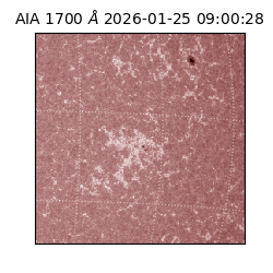 saia - 2026-01-25T09:00:28.717000