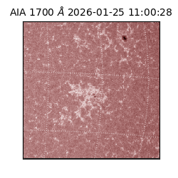 saia - 2026-01-25T11:00:28.718000