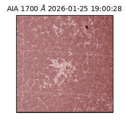 saia - 2026-01-25T19:00:28.738000