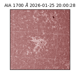 saia - 2026-01-25T20:00:28.730000