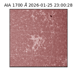 saia - 2026-01-25T23:00:28.717000