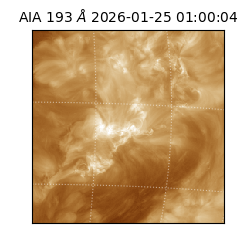 saia - 2026-01-25T01:00:04.843000