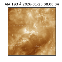 saia - 2026-01-25T08:00:04.843000