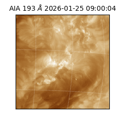 saia - 2026-01-25T09:00:04.843000