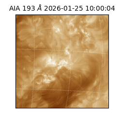 saia - 2026-01-25T10:00:04.843000