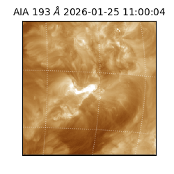 saia - 2026-01-25T11:00:04.842000