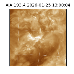 saia - 2026-01-25T13:00:04.847000