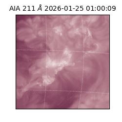 saia - 2026-01-25T01:00:09.626000