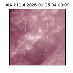 saia - 2026-01-25T04:00:09.626000