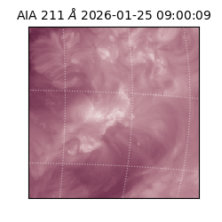 saia - 2026-01-25T09:00:09.632000