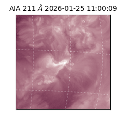 saia - 2026-01-25T11:00:09.631000