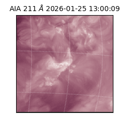 saia - 2026-01-25T13:00:09.633000