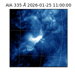 saia - 2026-01-25T11:00:00.638000