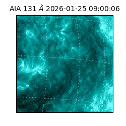 saia - 2026-01-25T09:00:06.622000