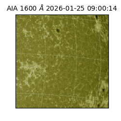 saia - 2026-01-25T09:00:14.126000