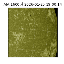 saia - 2026-01-25T19:00:14.126000