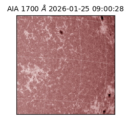 saia - 2026-01-25T09:00:28.717000