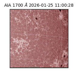 saia - 2026-01-25T11:00:28.718000