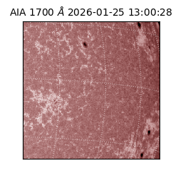 saia - 2026-01-25T13:00:28.721000