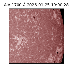 saia - 2026-01-25T19:00:28.738000