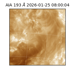 saia - 2026-01-25T08:00:04.843000