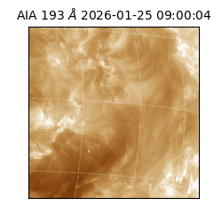 saia - 2026-01-25T09:00:04.843000