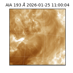 saia - 2026-01-25T11:00:04.842000