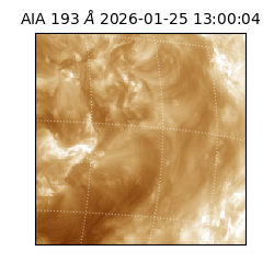 saia - 2026-01-25T13:00:04.847000