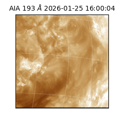 saia - 2026-01-25T16:00:04.842000