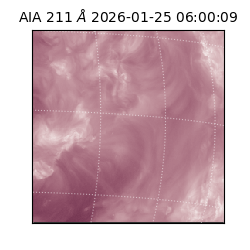 saia - 2026-01-25T06:00:09.625000