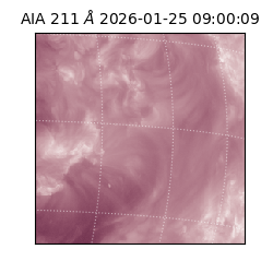 saia - 2026-01-25T09:00:09.632000