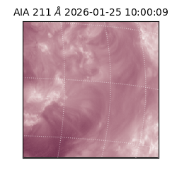 saia - 2026-01-25T10:00:09.631000