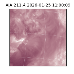 saia - 2026-01-25T11:00:09.631000