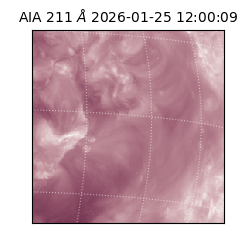 saia - 2026-01-25T12:00:09.625000