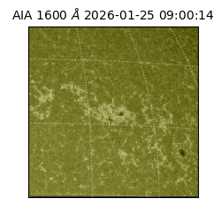 saia - 2026-01-25T09:00:14.126000