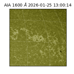 saia - 2026-01-25T13:00:14.126000