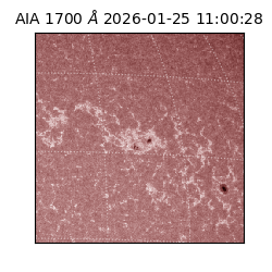 saia - 2026-01-25T11:00:28.718000