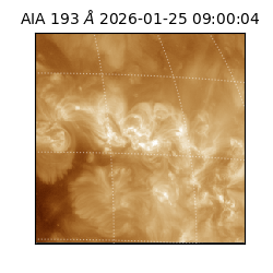 saia - 2026-01-25T09:00:04.843000