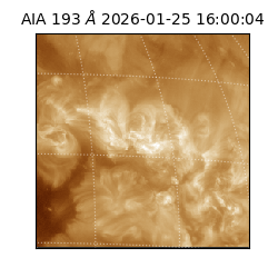 saia - 2026-01-25T16:00:04.842000