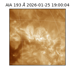 saia - 2026-01-25T19:00:04.846000